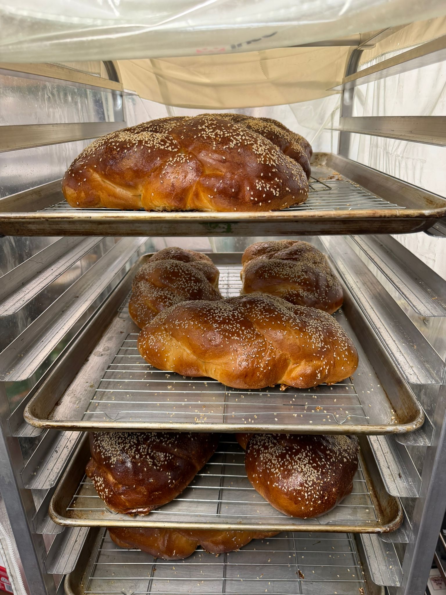 Fresh Challah Bakery Las Vegas